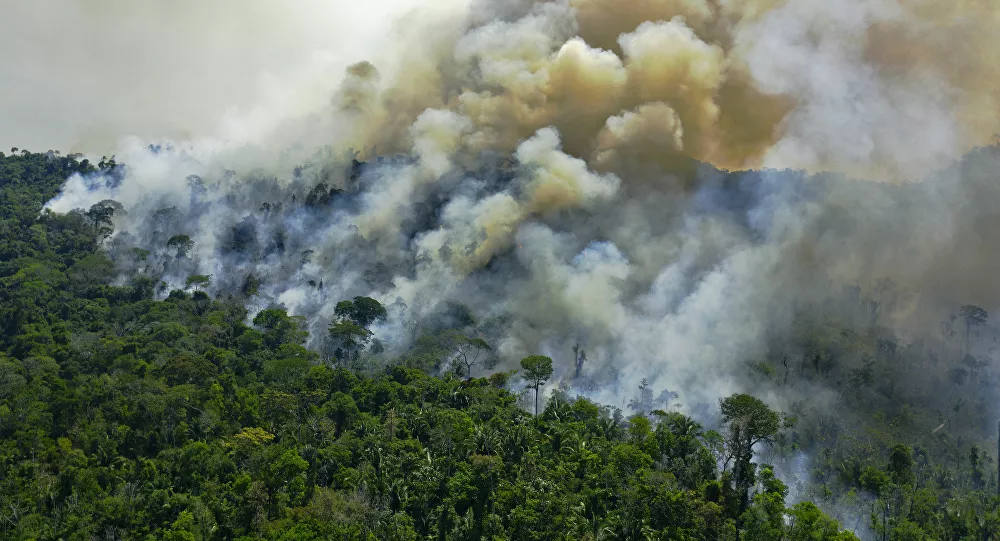 http://www.lea.co.ao/images/noticias/desmatamento da amazonia em 2020.jpg